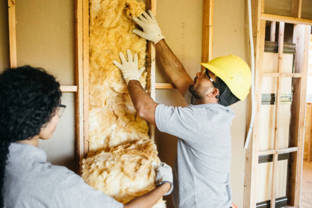 Best Wall Insulation Installation  in Ventress, LA